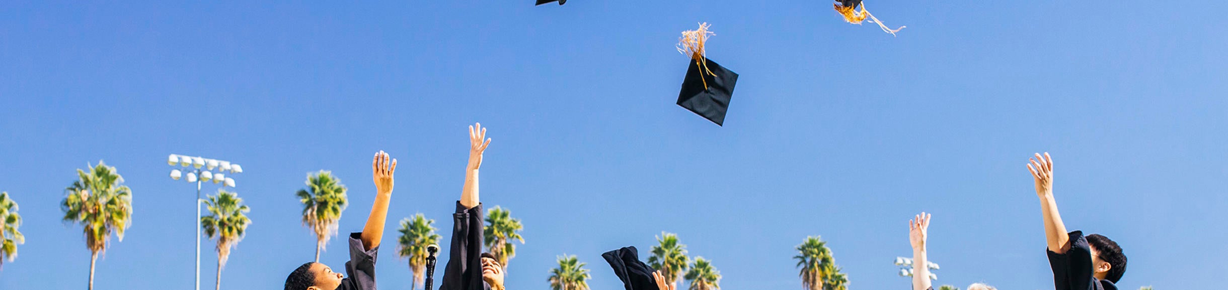 Scholarships Page Banner