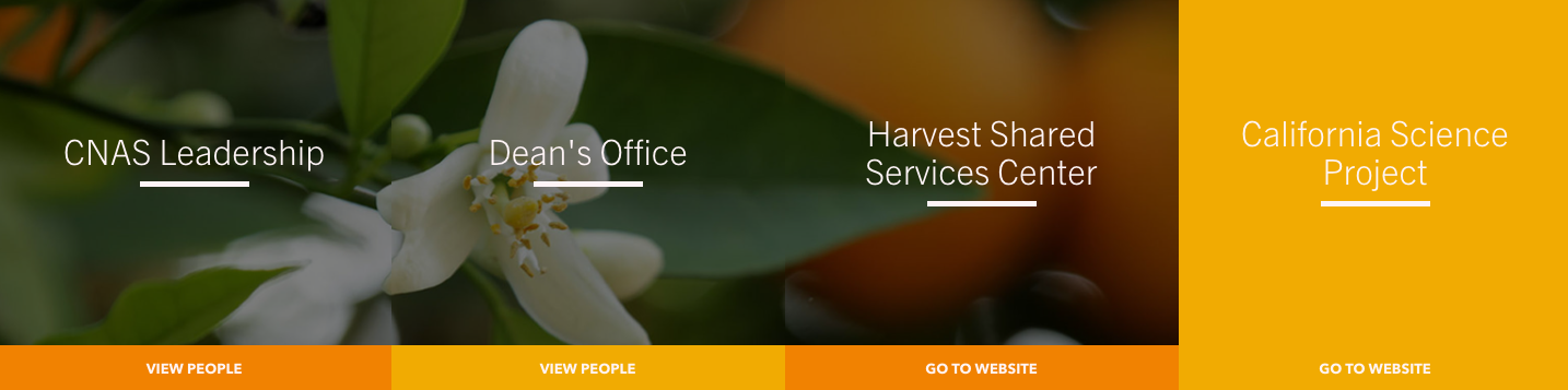 CTA example, one background image