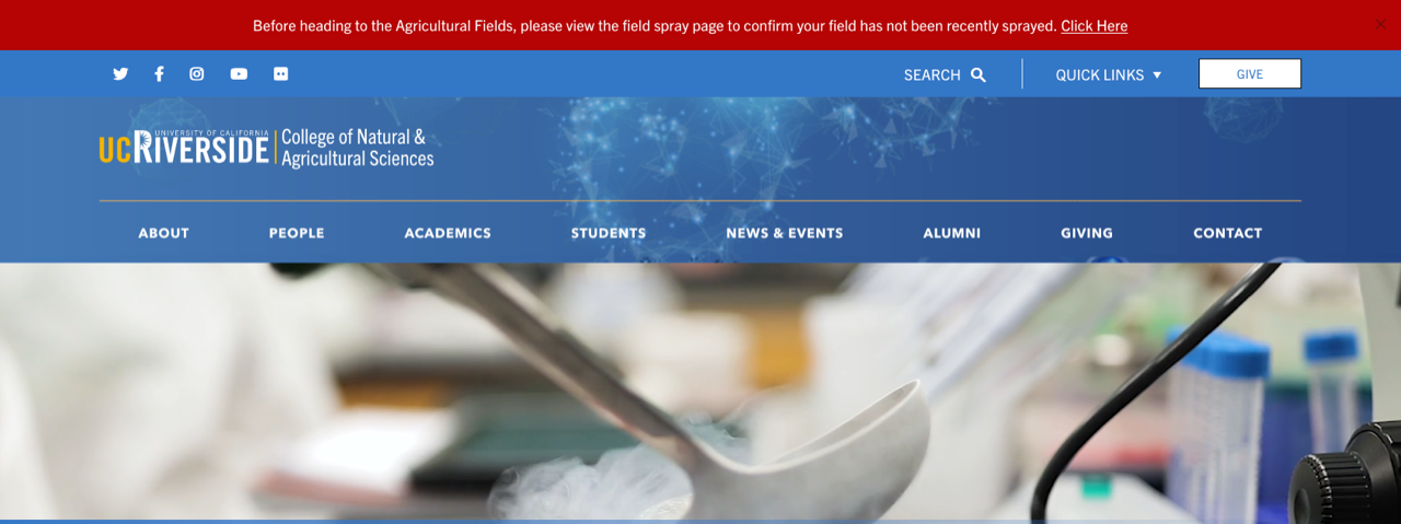 Custom Alert example red