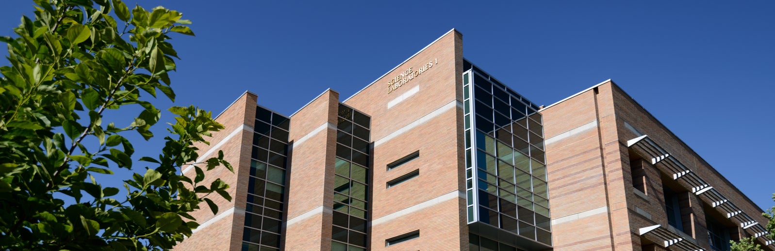 Science Labs building