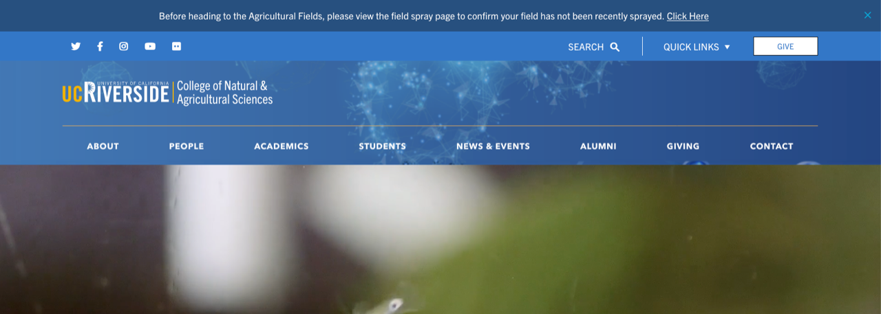 Custom Alert example blue