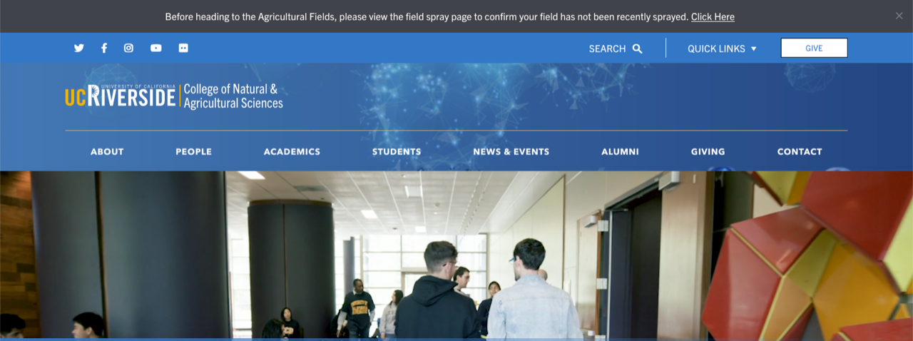 Custom Alert example gray