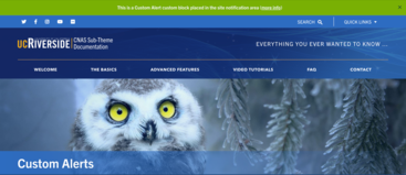 screenshot of a Custom Alert custom block