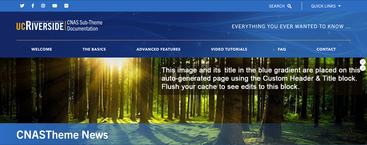 screenshot of Custom Header & Title custom block