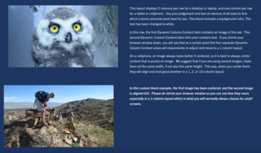 screenshot of dynamic columns custom block