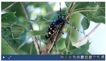 screenshot of a local galleria