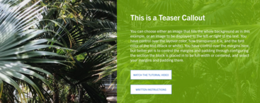 screenshot of Callout Teaser custom block