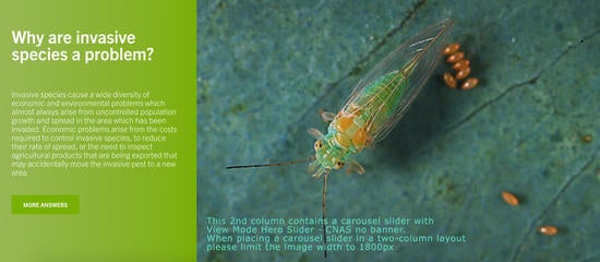 carousel slider 2-column example (c) CISR