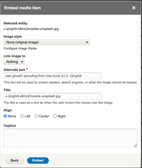 screenshot of Add Image dialog box