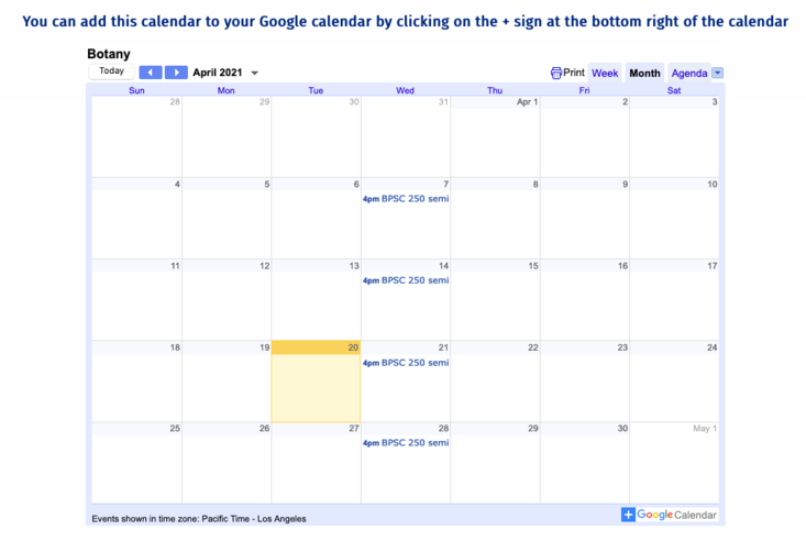 google calendar screenshot
