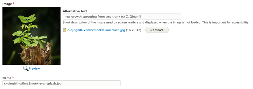 screenshot of image upload with filename used as Name