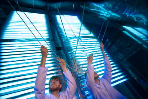 Large chamber lights with Quentin