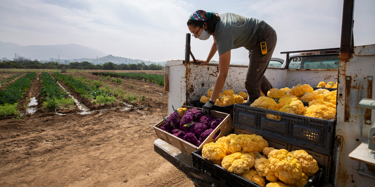 A girl working on a farm