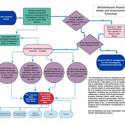 Report Review & Assessment