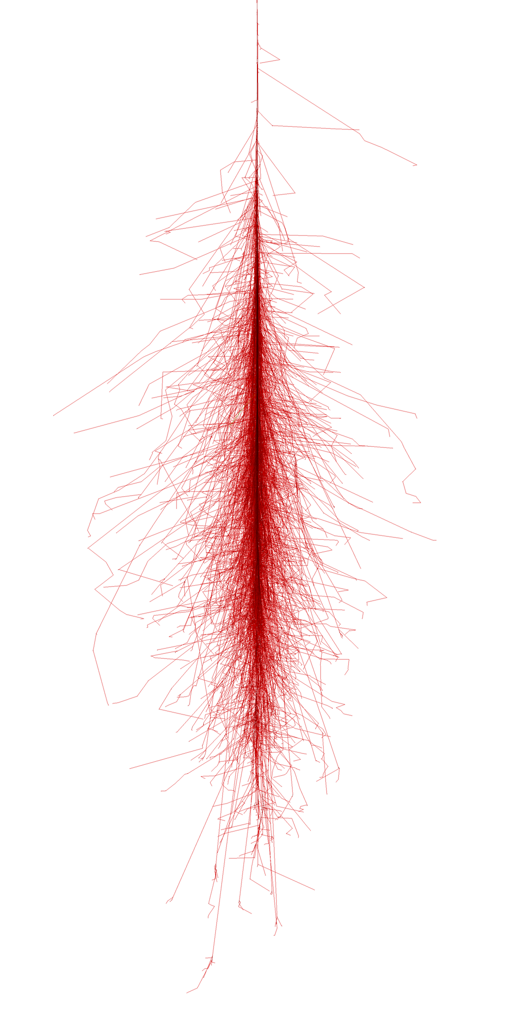 Photon shower 50 GeV from https://www.zeuthen.desy.de/~jknapp/fs/photon-showers.html