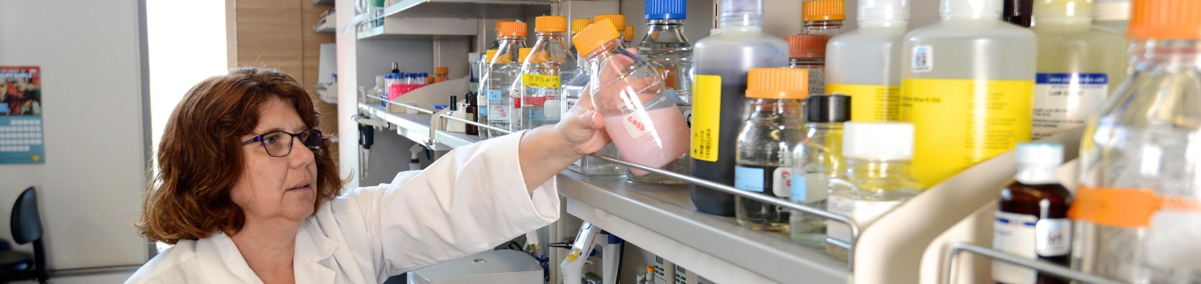 Djurdjica Coss, Ph.D.