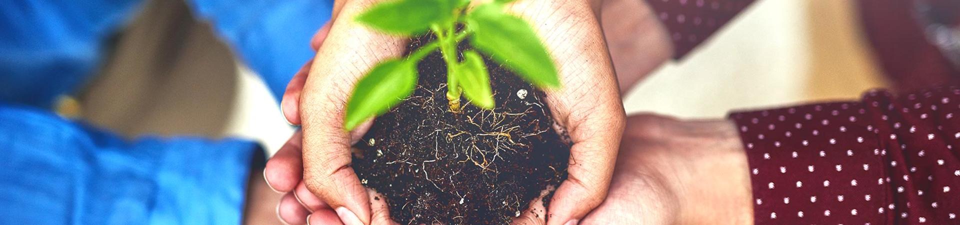 Offering Growth & Support