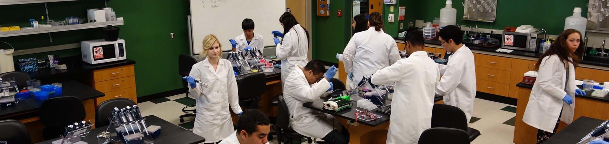 Lab in Campbell Hall