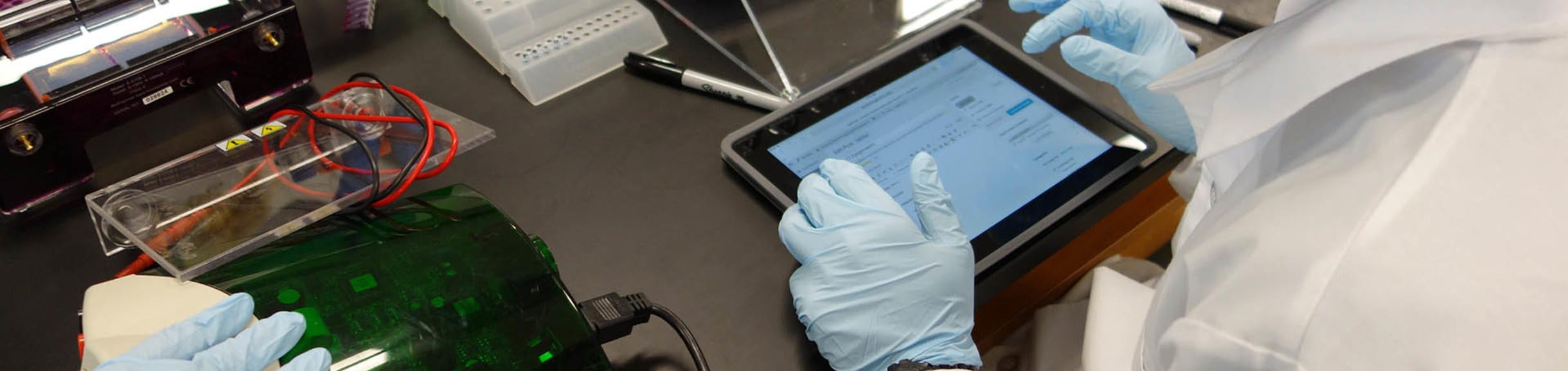 Summer lab | dynamicgenome