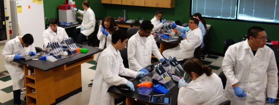 Students in the Neil A Campbell Science Learning Laboratory