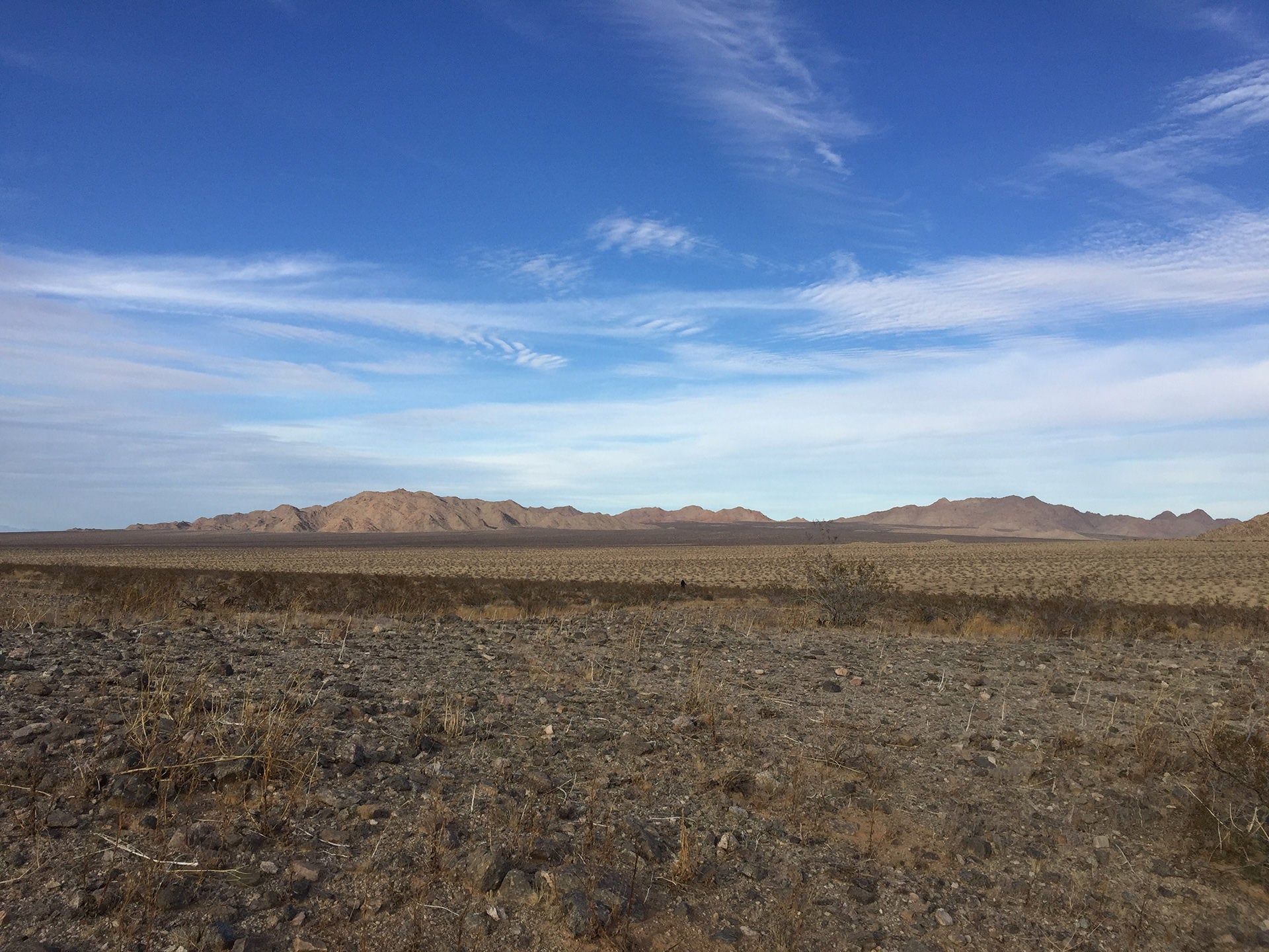 Metropolis Multi-Media-Event