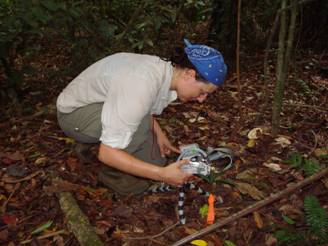 Nutrient_Limitation_Paragraph_1