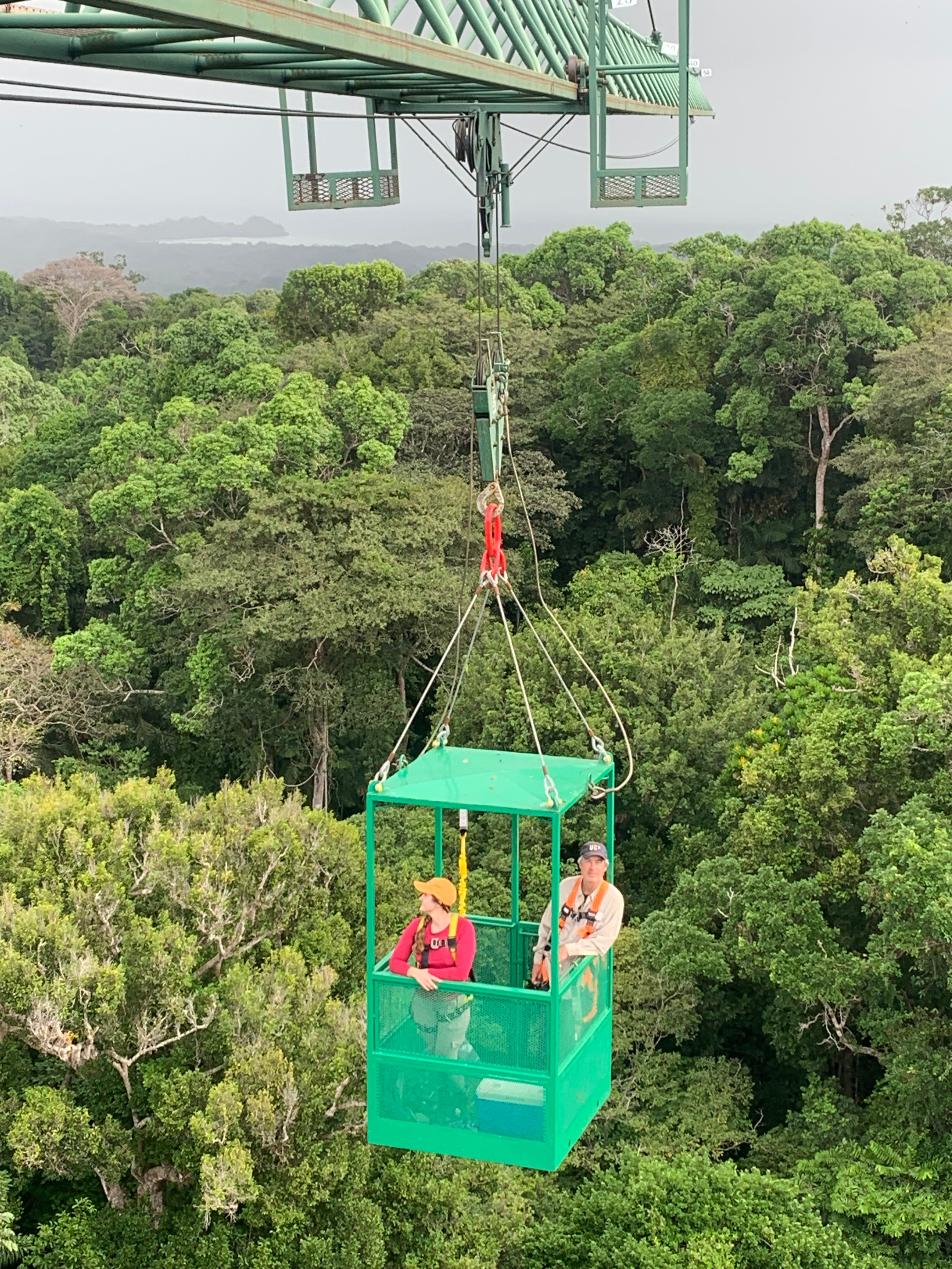 Lou Gabrielle Crane 2024