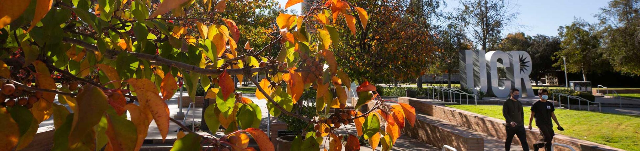 students walking on campus during fall with Bell Tower in the background