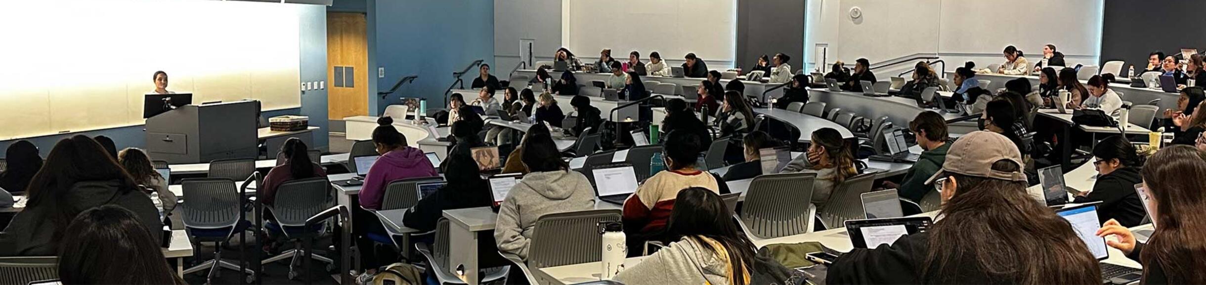 Aya Shhub instructor