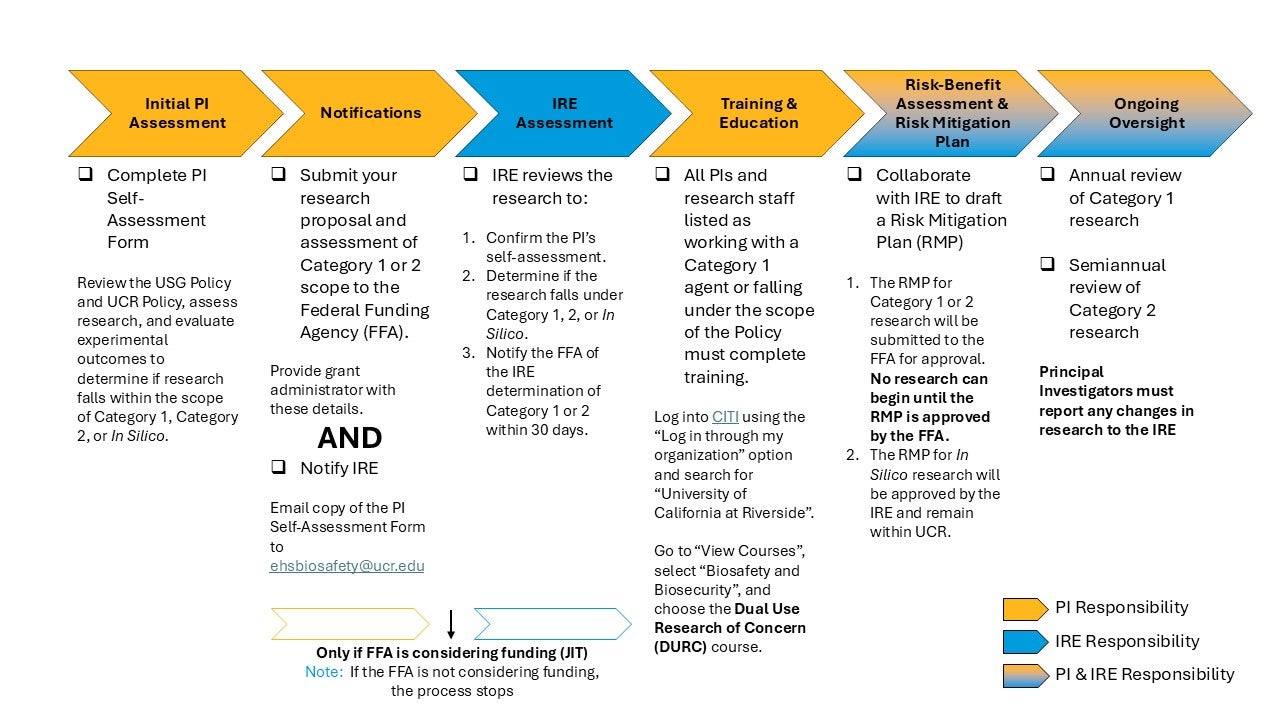 image of IRE review process