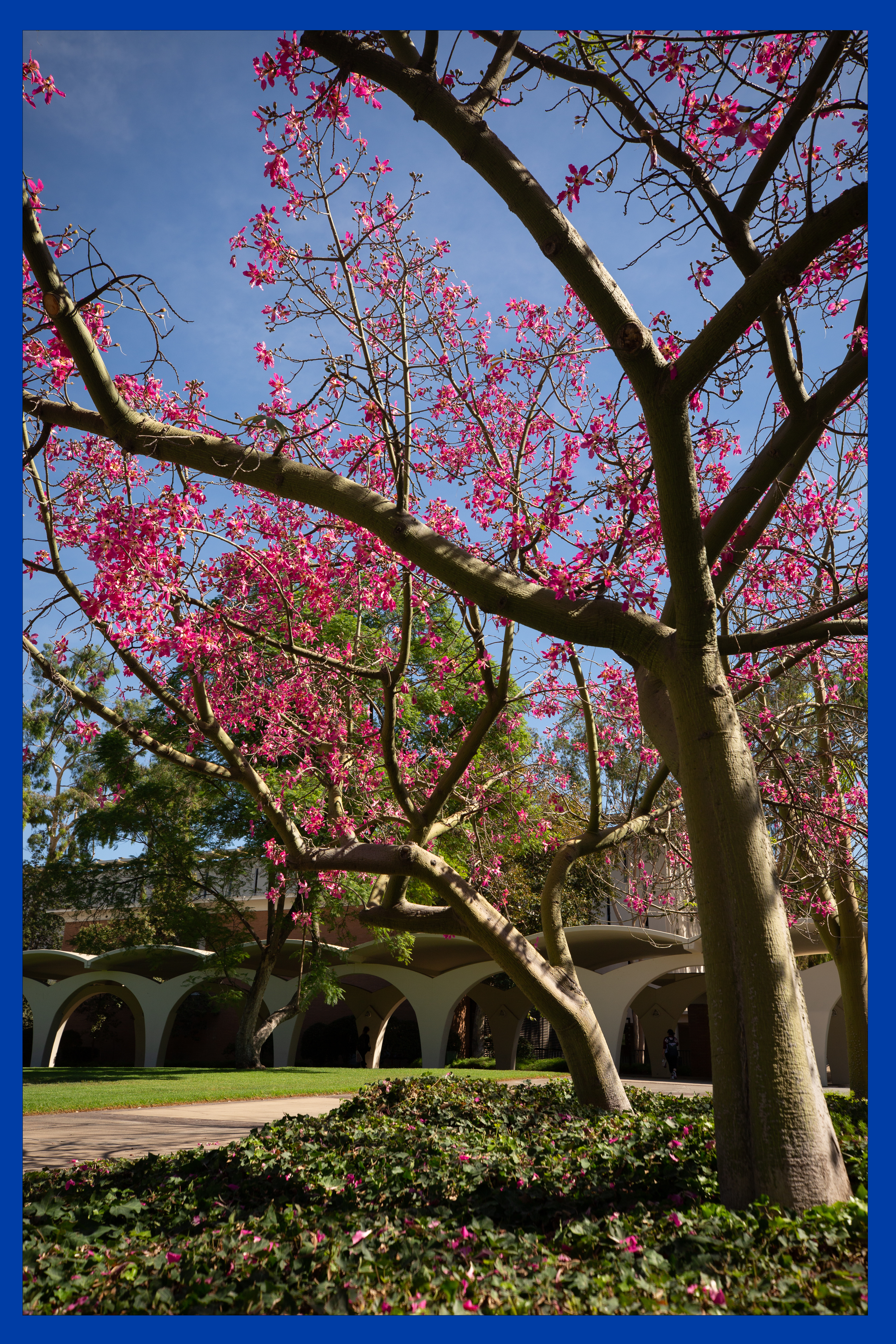 Dickson Award webpage image