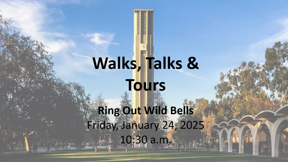 W25 Ring Out Wild Bells