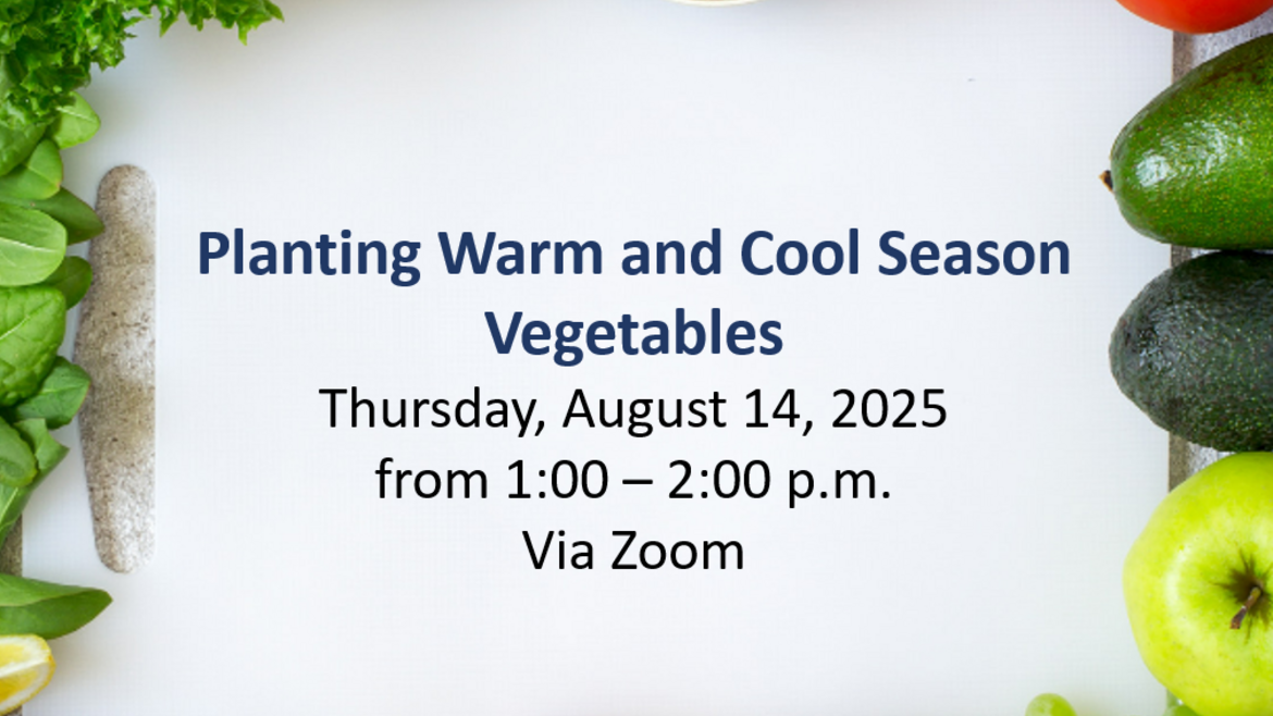 Planting Warm and Cool Season Vegetables