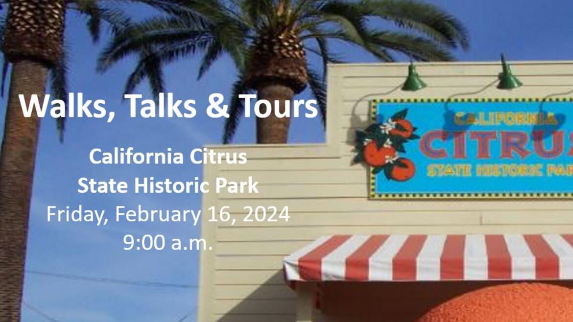 Winter 2024 Walks, Talks & Tours