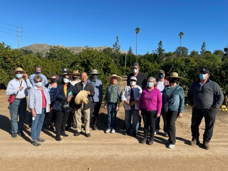 Walk Talks Tours - Citrus Variety Collection Tour 