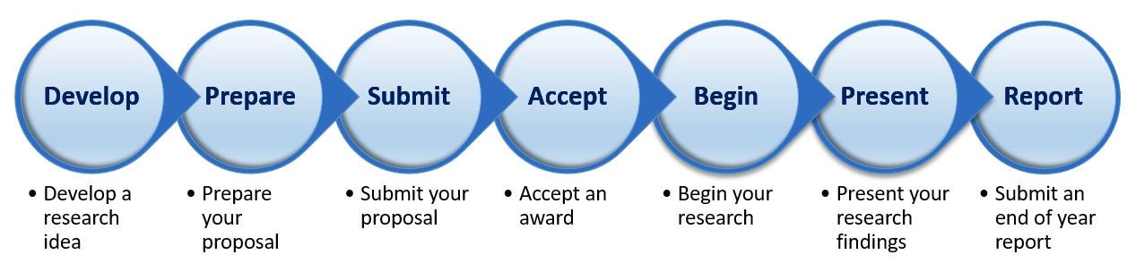 Mini-grant process map