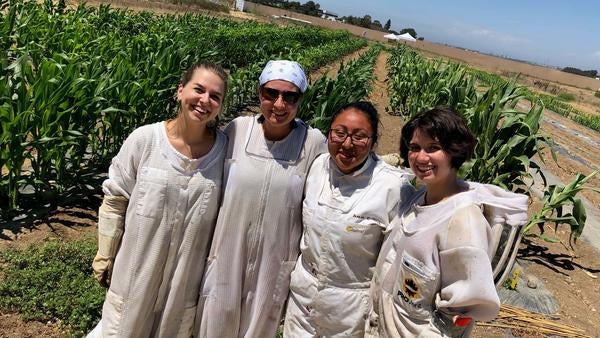 honeybee researchers