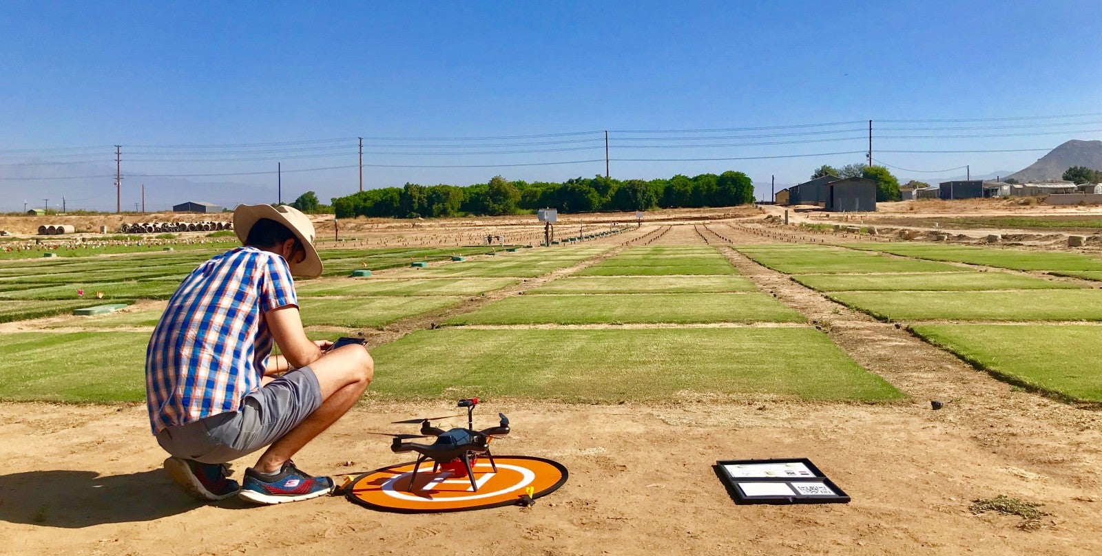 Faculty member conducting research in field.
