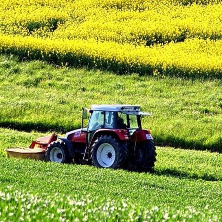 Tractor in the field