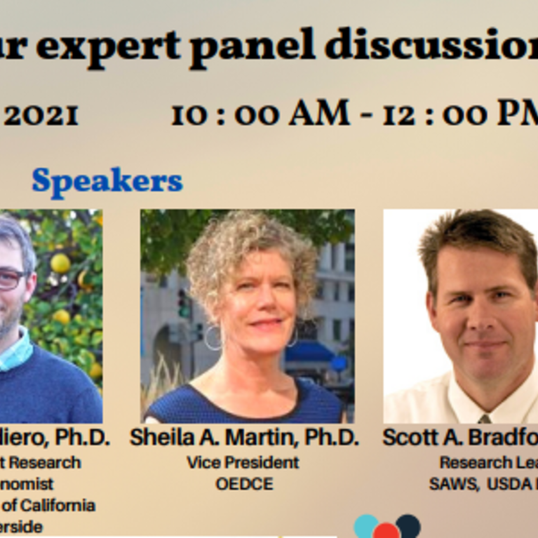 Flyer for virtual panel discussion May 18, 2021.