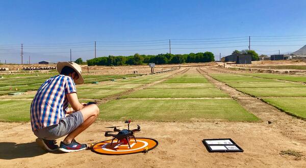 Person with drone overlooking field 