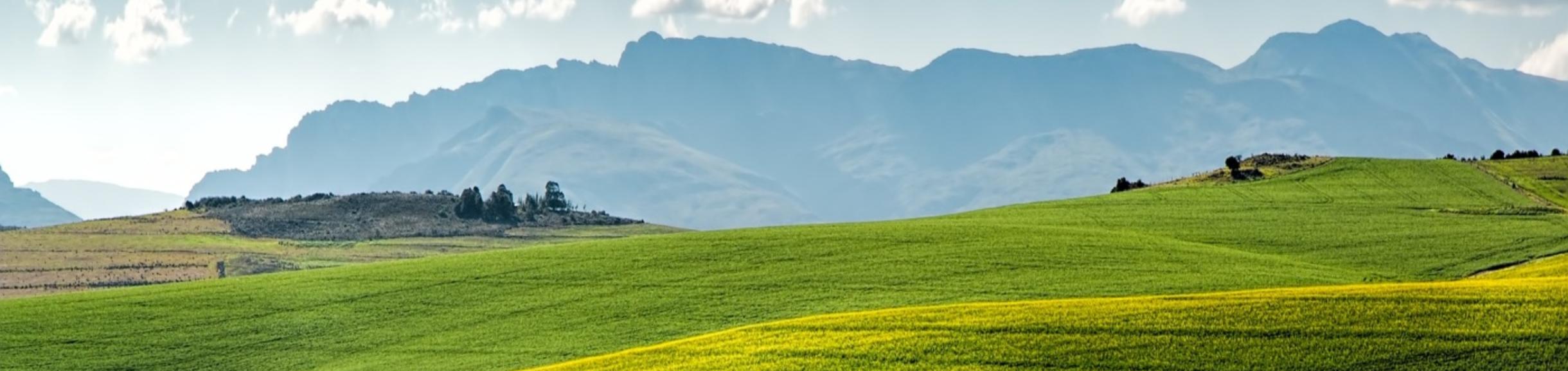 Lush green hills in front of mountains.