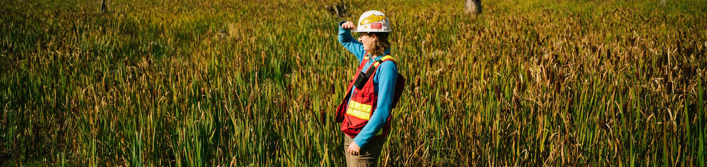 environmental scientist standing in field