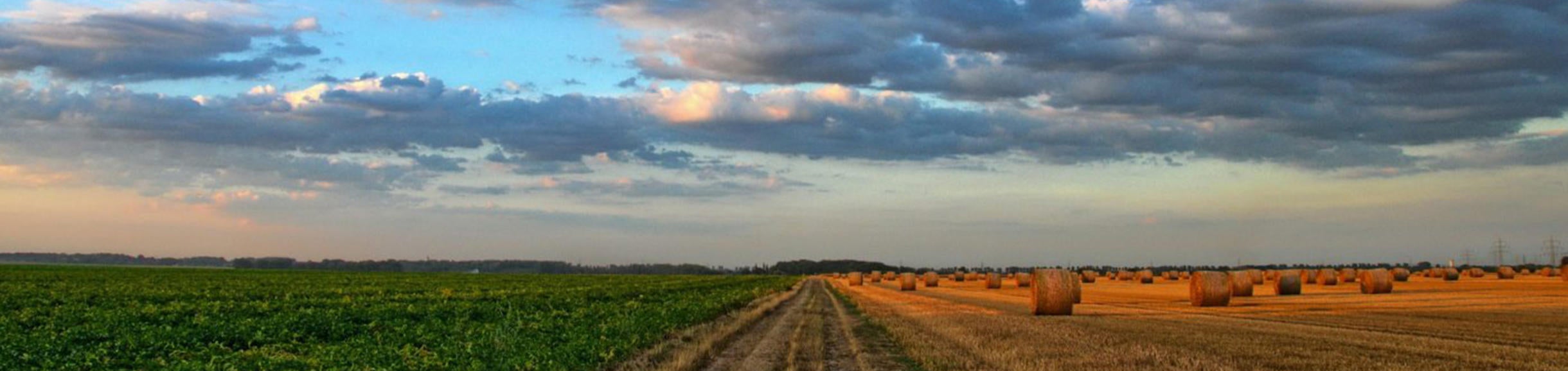 clouds over a field with hay bales
