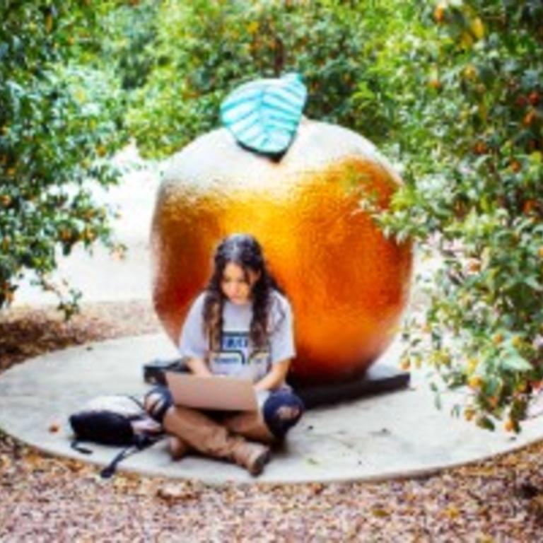 Student studying on campus by the orange sculpture.