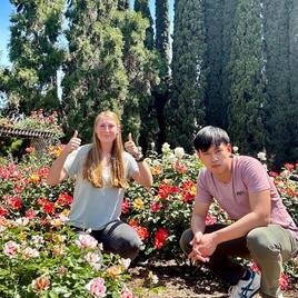 Two people sitting among rose bushes