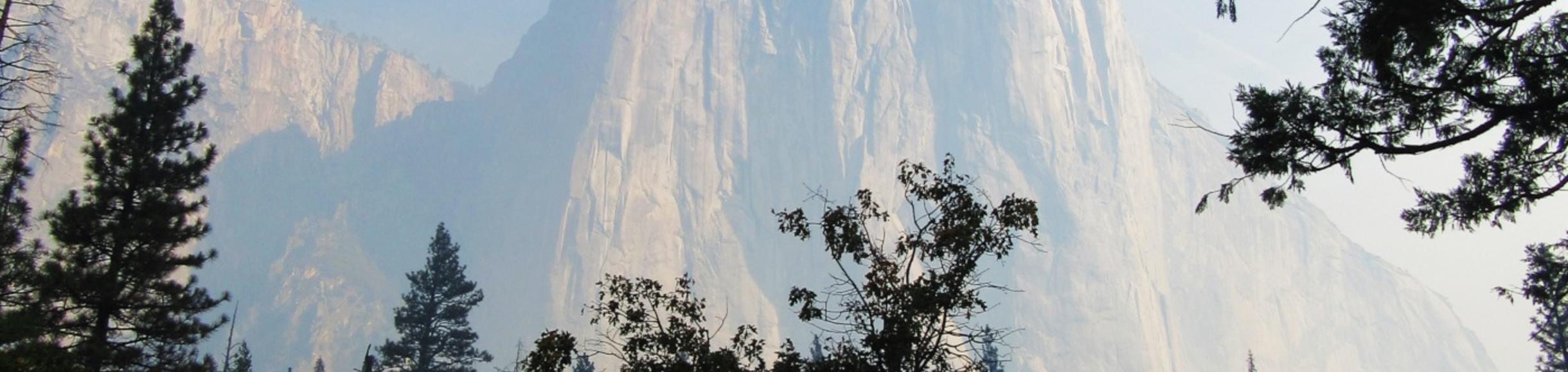Mountainous cliffs towering over pine trees.