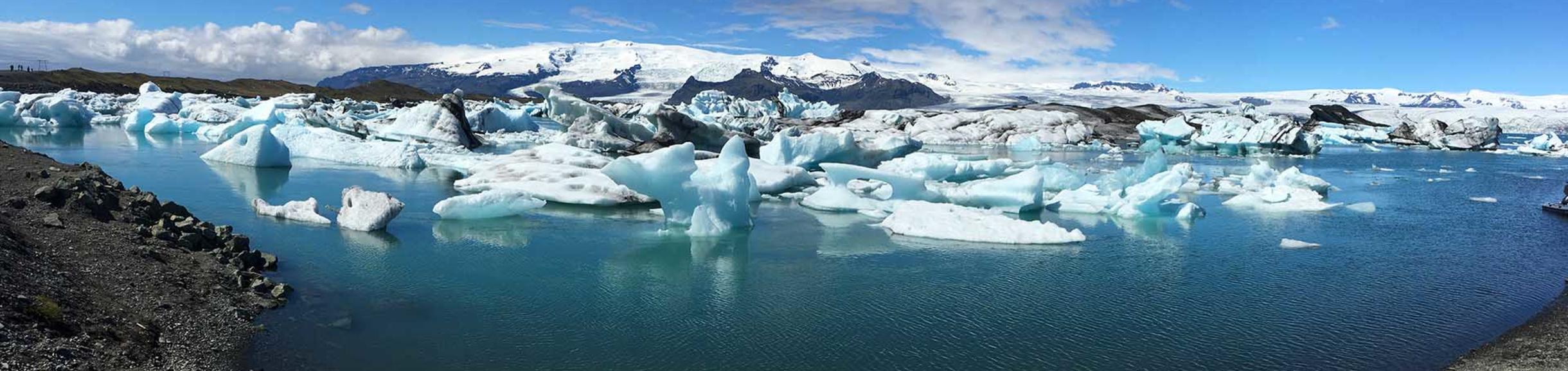 Icebergs (c) Rachel Terry