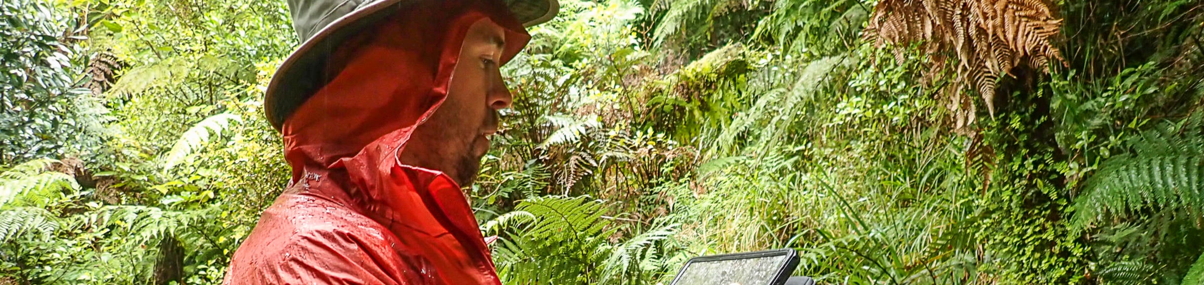 Geology in the rain (c) Nic Barth