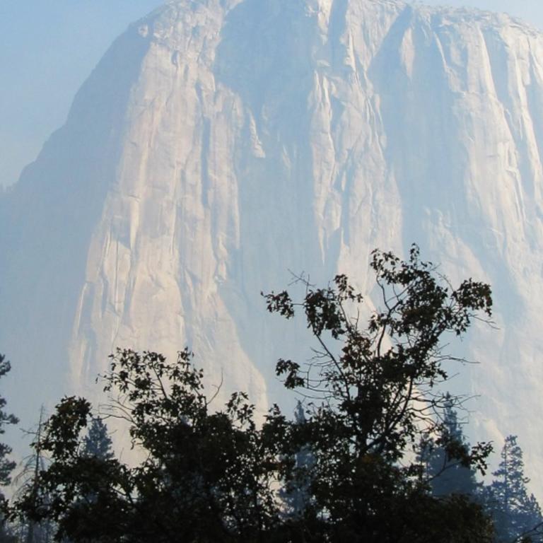 Mountainous cliffs towering over pine trees.
